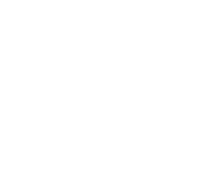 COMPONENT 01