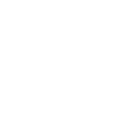 COMPONENT 02