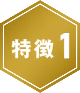 特徴1