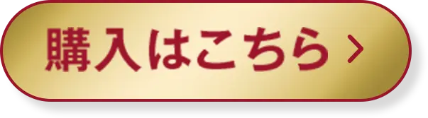 購入はこちら