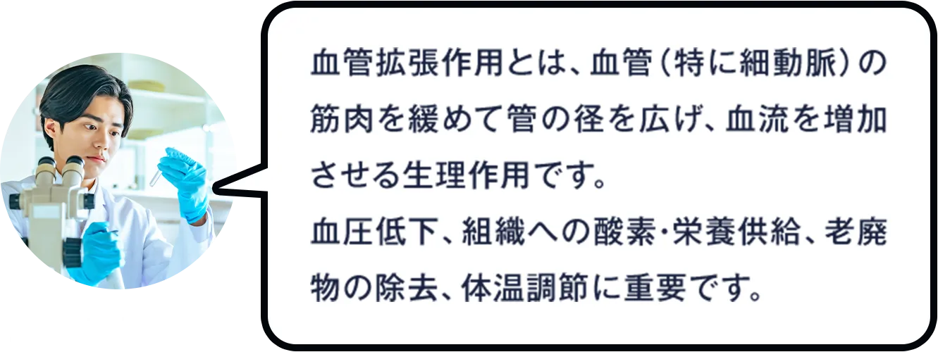 AGAラボ研究員：血管拡張作用とは、血管（特に細動脈）の筋肉を緩めて管の径を広げ、血流を増加させる生理作用です。血圧低下、組織への酸素・栄養供給、老廃物の除去、体温調節に重要です。