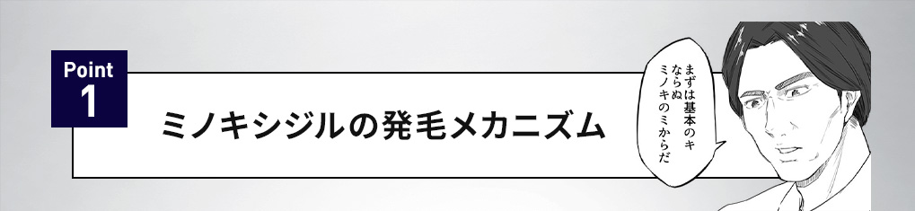 POINT1 ミノキシジルの発毛メカニズム