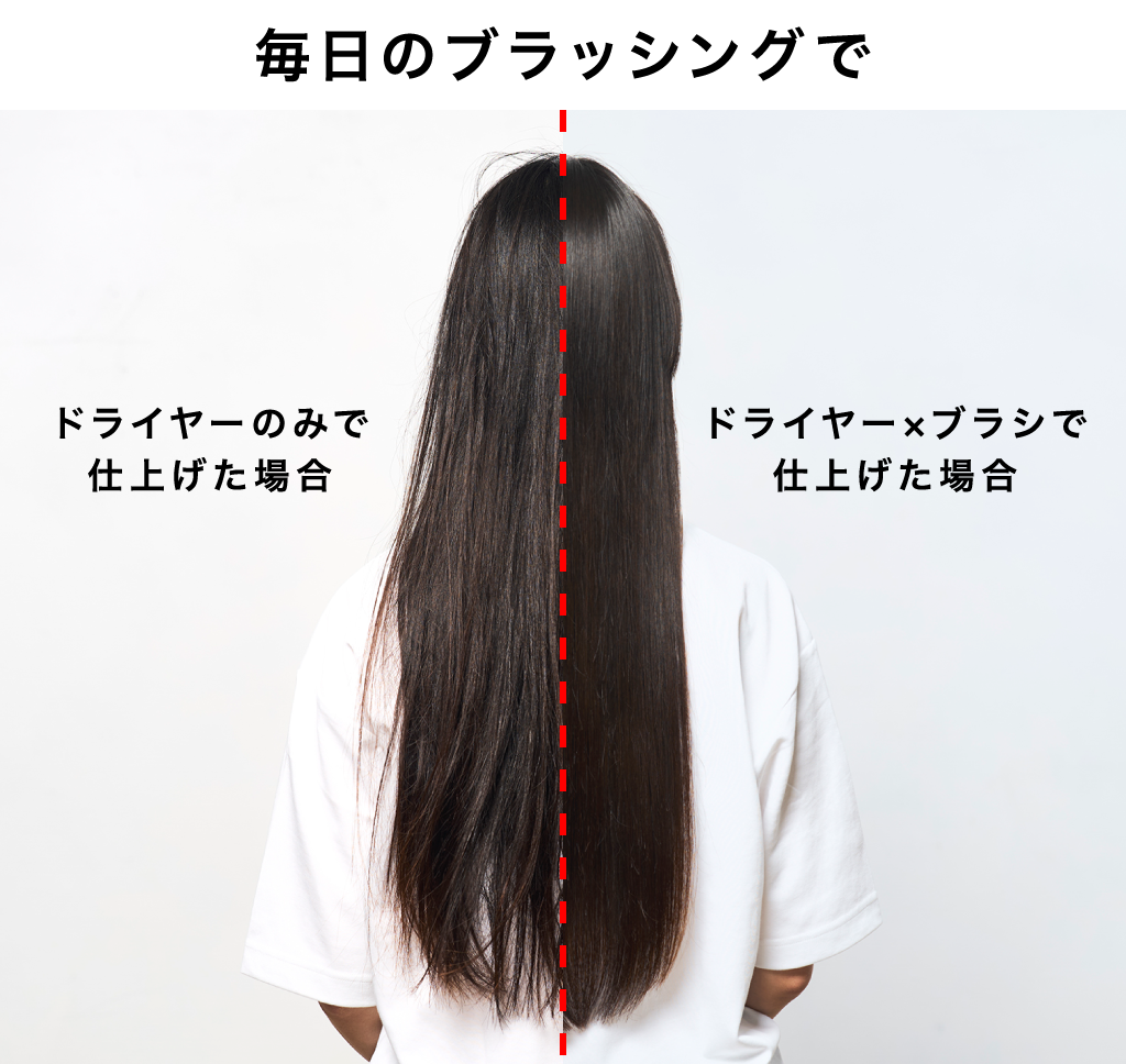 毎日のブラッシングでここまで変化する理由は？