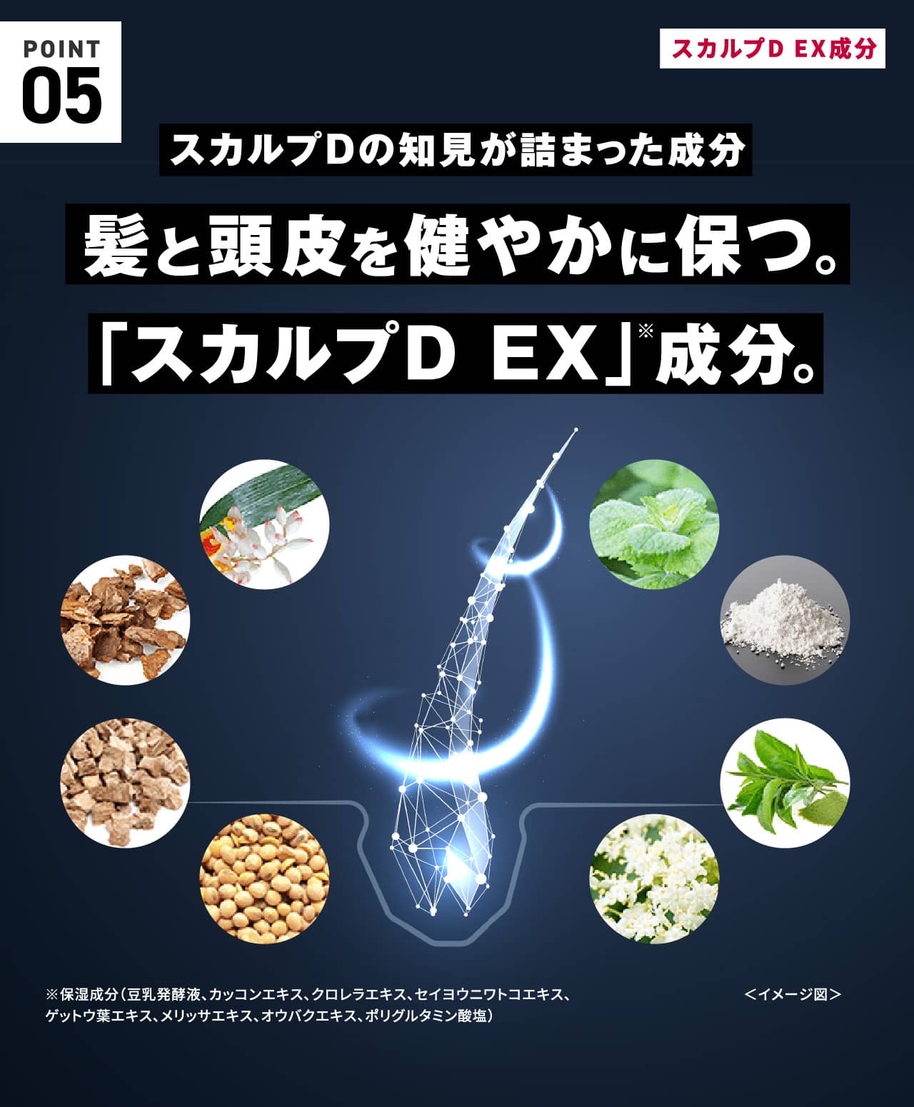 POINT05 スカルプDの知見が詰まった成分 髪と頭皮を健やかに保つ。「スカルプD EX」成分。