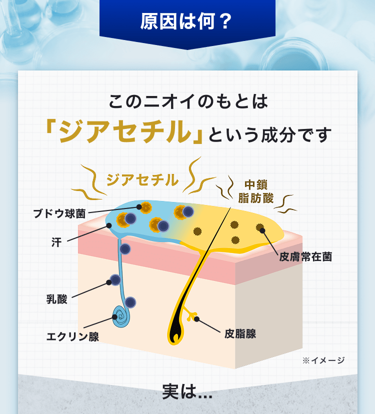 原因は何？｜このニオイのもとは「ジアセチル」という成分です