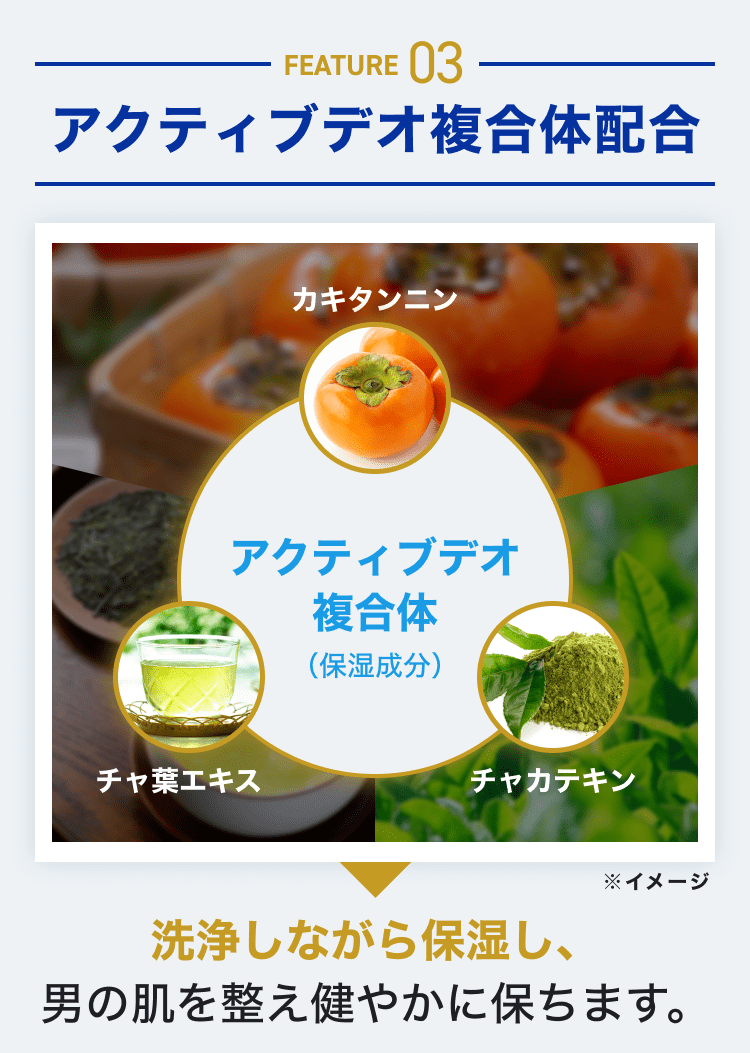 FEATURE03|アクティブデオ複合体配合