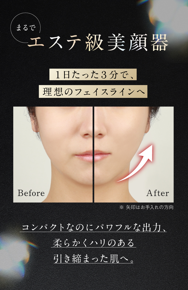 ディズム EMS EER メディスキンケアデバイス