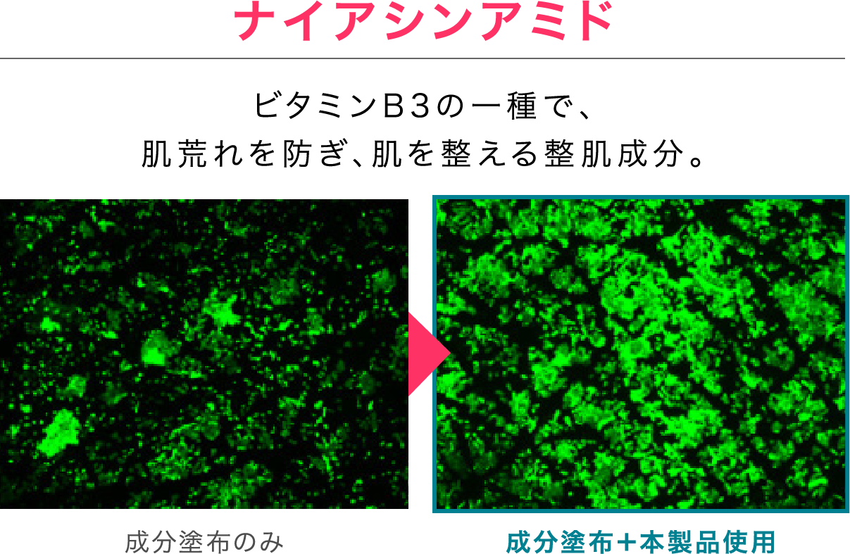 ナイアシンアミド ビタミンB3の一種で、肌荒れを防ぎ、肌を整える整肌成分。 成分塗布のみ ≫ 成分塗布＋本製品使用