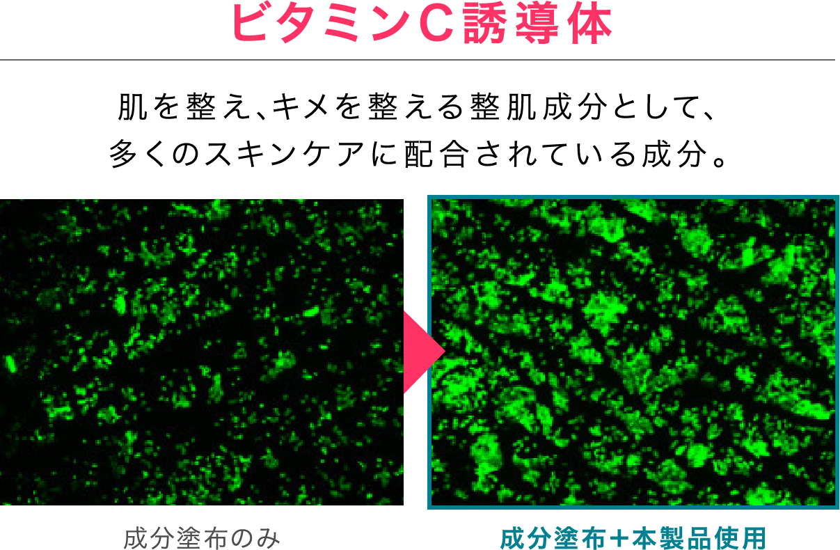 ビタミンC誘導体 肌を整え、キメを整える整肌成分として、多くのスキンケアに配合されている成分。 成分塗布のみ ≫ 成分塗布＋本製品使用
