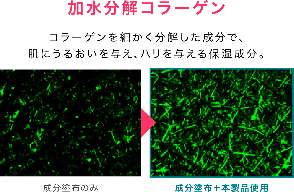 加水分解コラーゲン コラーゲンを細かく分解した成分で、肌にうるおいを与え、ハリを与える保湿成分。 成分塗布のみ ≫ 成分塗布＋本製品使用