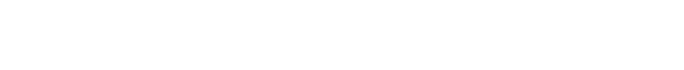 ＜初回セット内容＞美顔器＋
