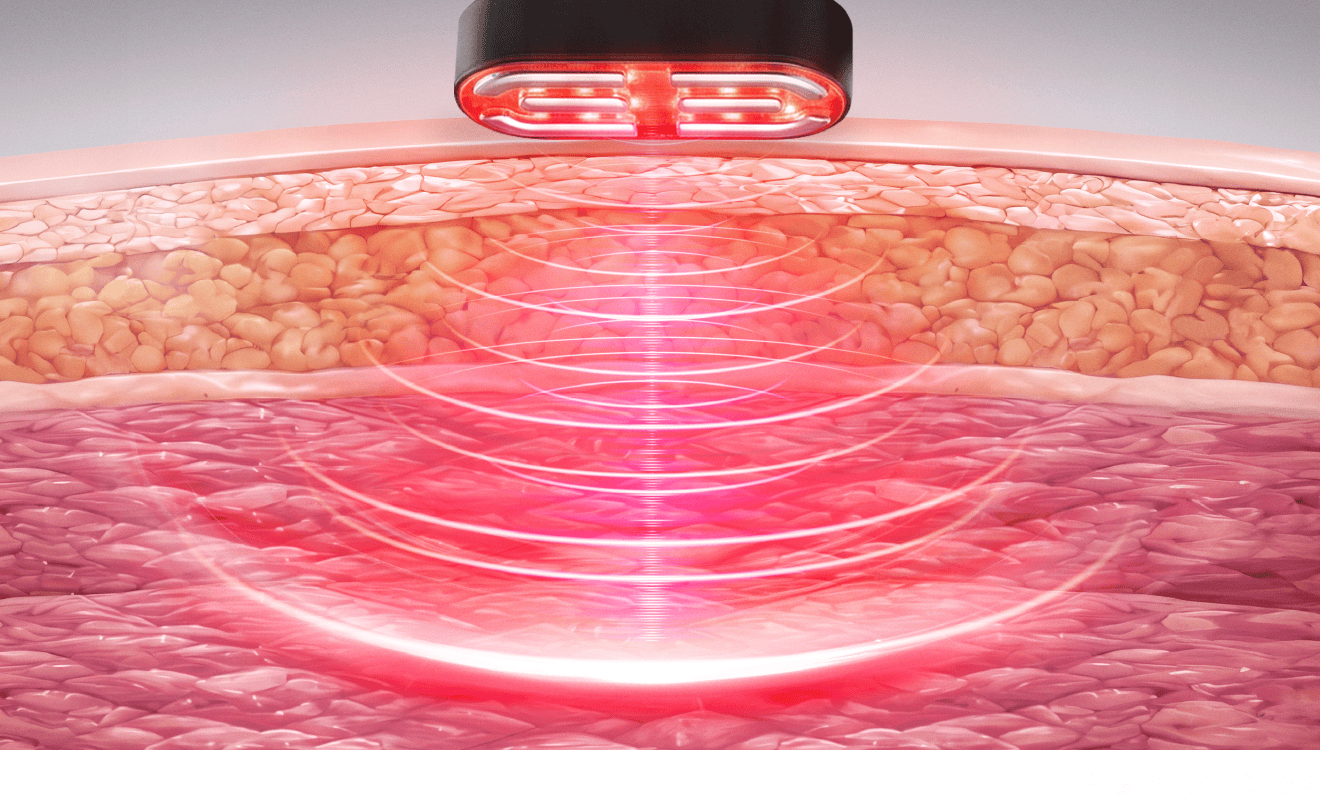 ※画像はイメージです