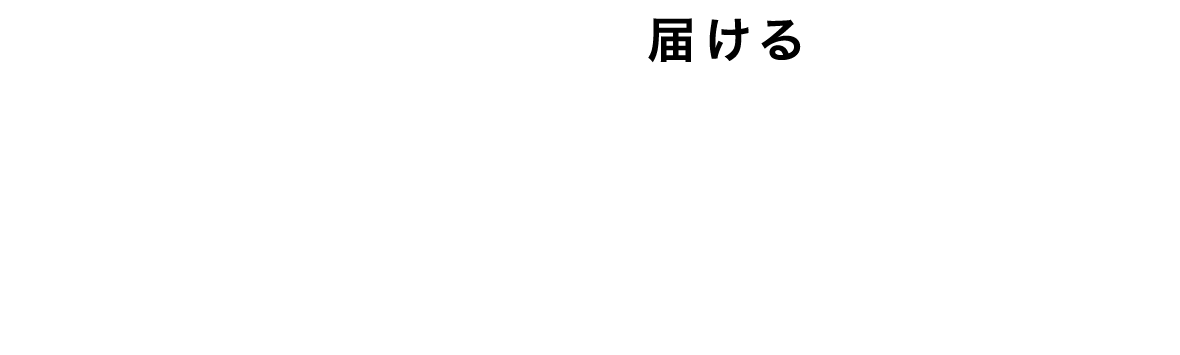 MODE-2 届ける ELECTROPORATION スキンケア底上げモード