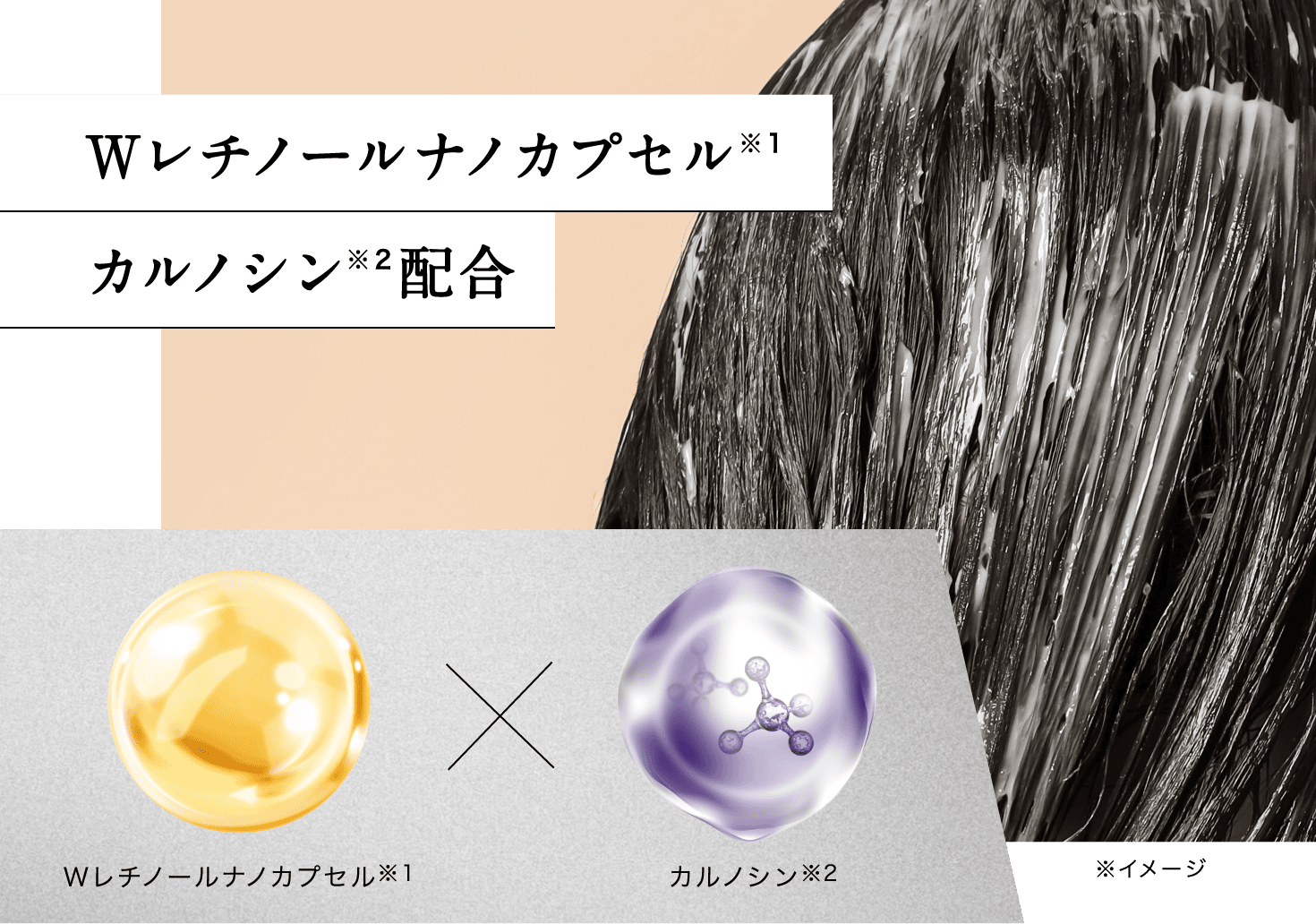 浸透※1型ナノ化ダブルレチノール※2 カルノシン※3配合