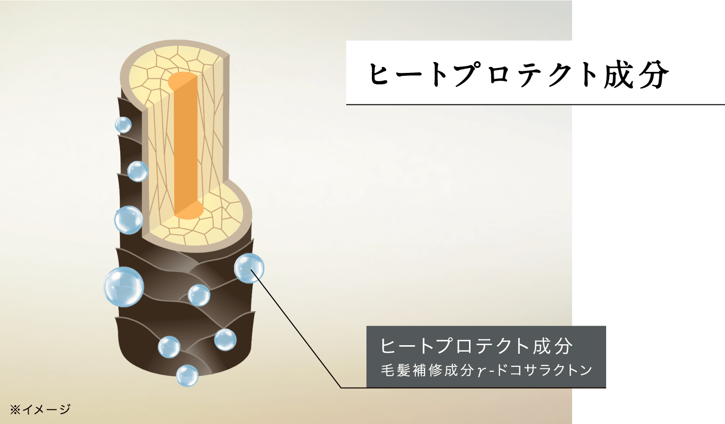 ヒートプロテクト成分