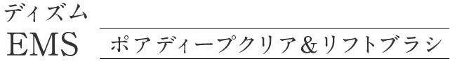 ディズム EMS ポアディープクリア＆リフトブラシ