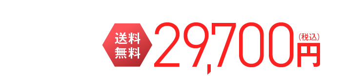 送料無料 29,700円(税込)
