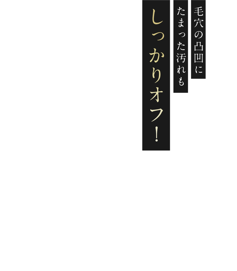 毛穴の凸凹にたまった汚れもしっかりオフ！水＋EMS ポアディープクリア＆リフトブラシ