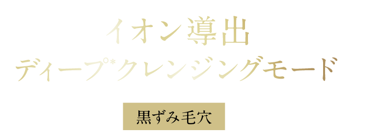 イオン導出 ディープクレンジングモード 黒ずみ毛穴