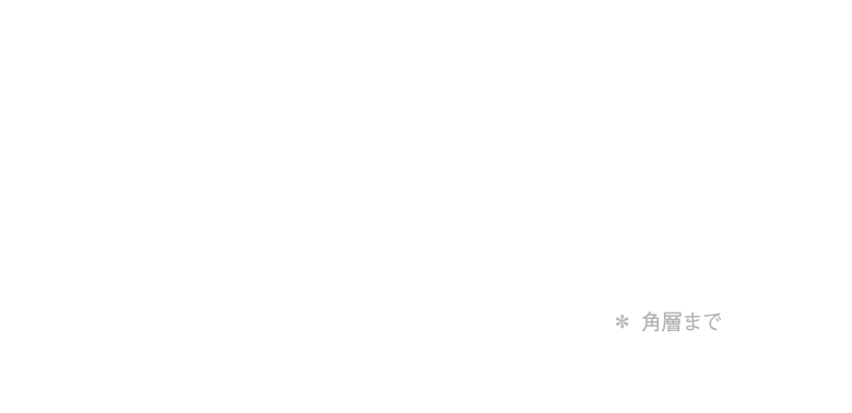 イオン導出＊はプラスイオンの力で、マイナスに帯電している毛穴の奥に蓄積した皮脂や汚れを吸着。間隔振動の軽いタッチで毛穴の汚れを浮かせて落とします。