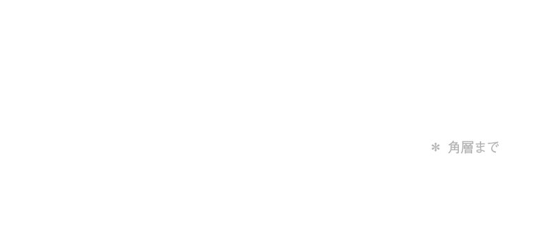 イオン導入とタッピングで汚れを落とした肌に美容成分を浸透＊させ、ハリツヤのある肌へ整えます。