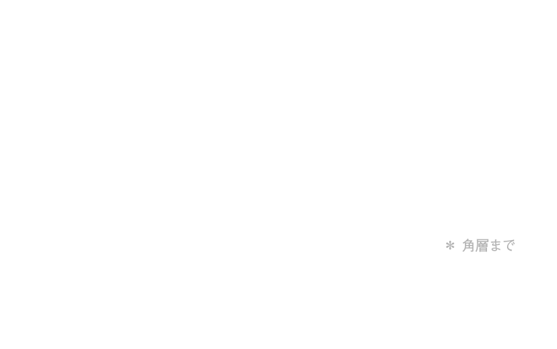 ※イオン導出ディープ＊クレンジングモード、イオン導入＊スキンケアモードはアース電極に手が触れるようにお持ちください。