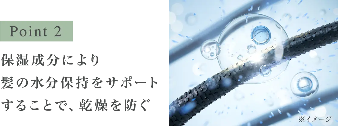 Point 2 保湿成分により髪の水分保持をサポートすることで、乾燥を防ぐ