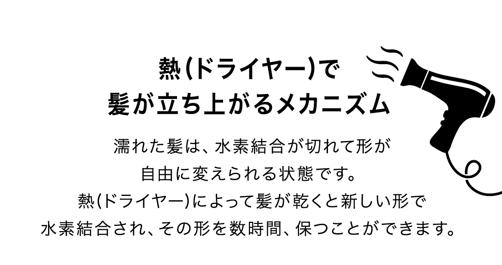熱(ドライヤー)で髪が立ち上がるメカニズム 濡れた髪は、水素結合が切れて形が自由に変えられる状態です。熱(ドライヤー)によって髪が乾くと新しい形で水素結合され、その形を数時間、保つことができます。