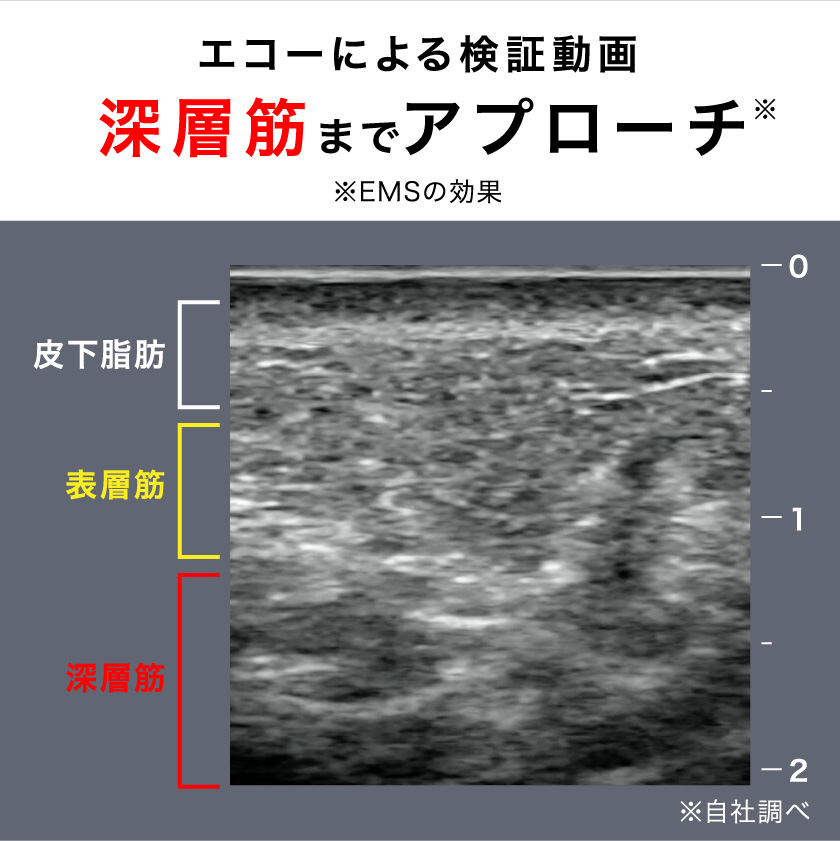 エコーによる検証動画 深層筋までアプローチ ※EMSの効果