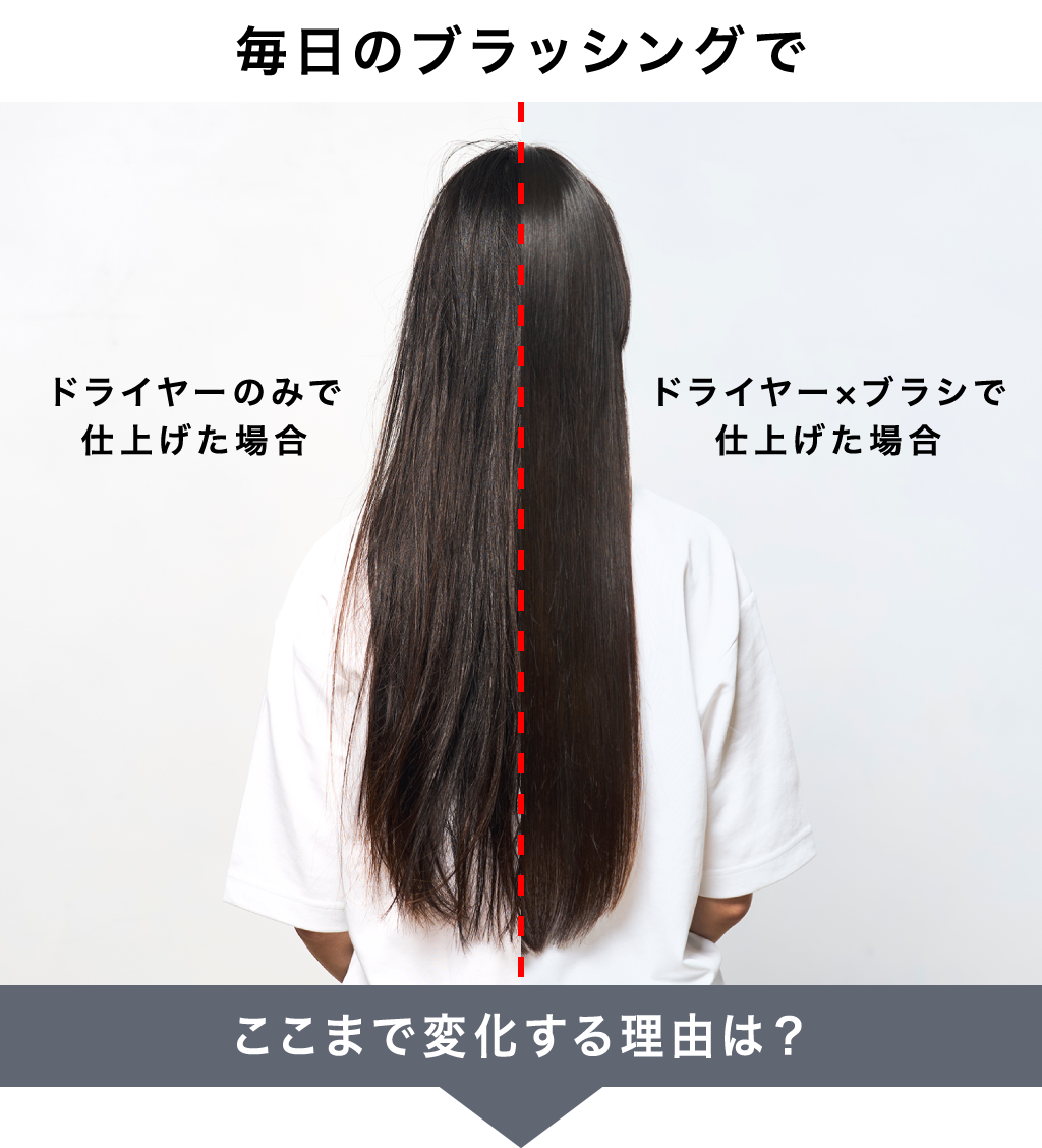 毎日のブラッシングでここまで変化する理由は？