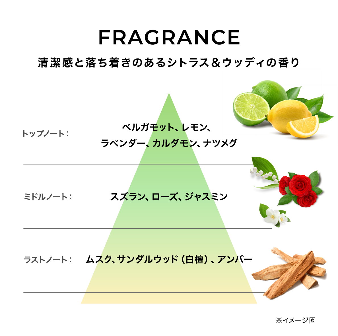 FRAGRANCE 清潔感と落ち着きのあるシトラス＆ウッディの香り