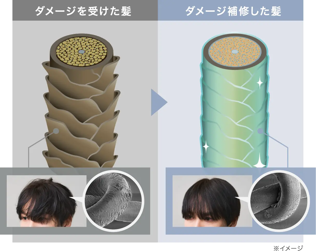 ダメージを受けた髪ダメージを補修した髪