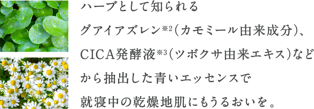 ハーブとして知られるグアイアズレン※2（カモミール由来成分）、CICA発酵液※3（ツボクサ由来エキス）などから抽出した青いエッセンスで就寝中の乾燥地肌にもうるおいを。