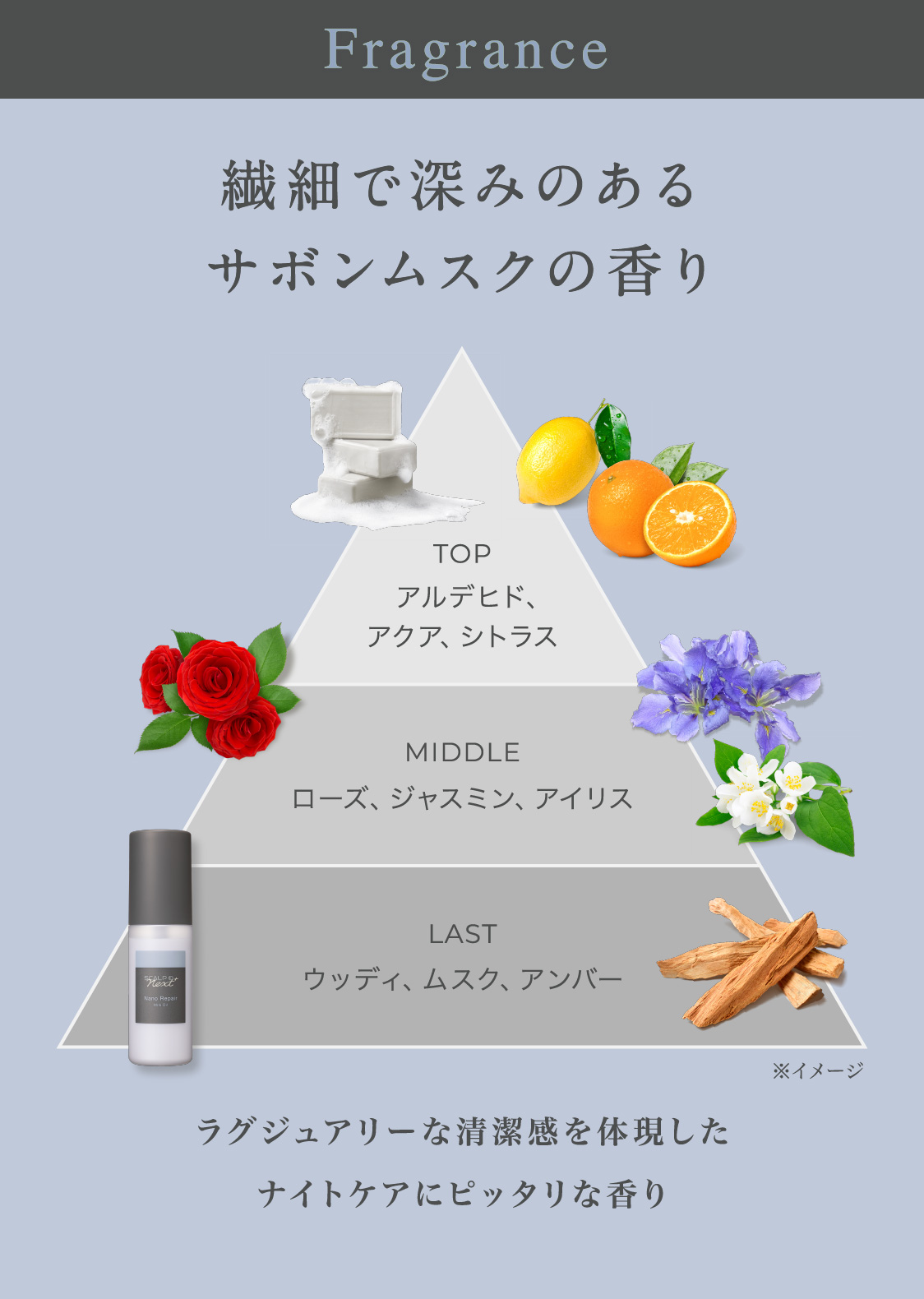 Fragrance 繊細で深みのあるサボンムスクの香り ラグジュアリーな清潔感を体現したナイトケアにピッタリな香り