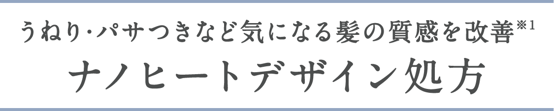 うねり・パサつきなど気になる髪の質感を改善※1 ナノヒートデザイン処方