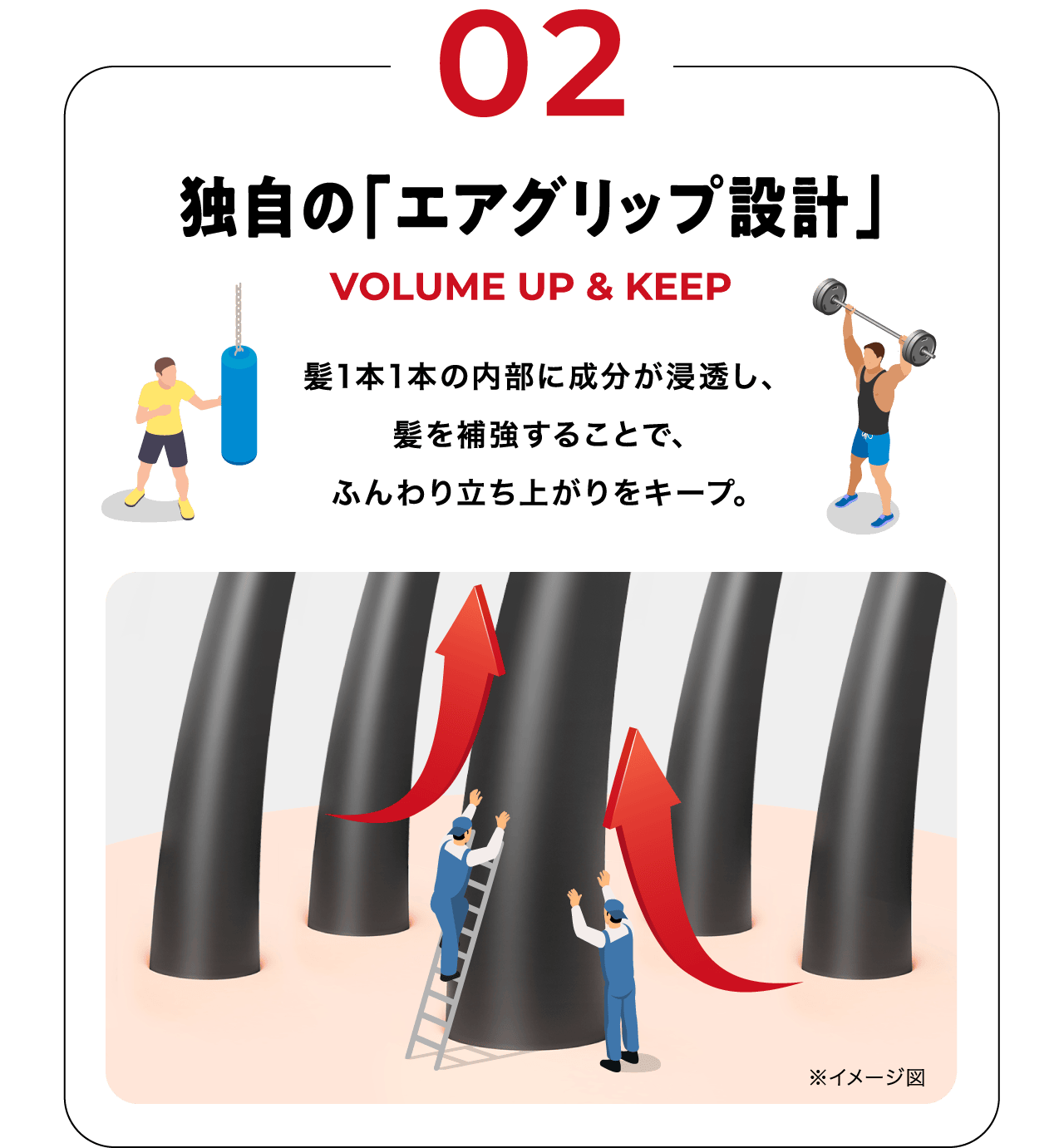 独自の「エアグリップ設計」髪1本1本の内部に成分が浸透し、髪を補強することで、ふんわり立ち上がりをキープ。