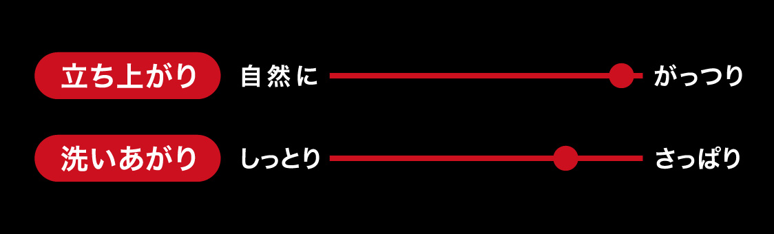 立ち上がり がっつり　洗いあがり さっぱり