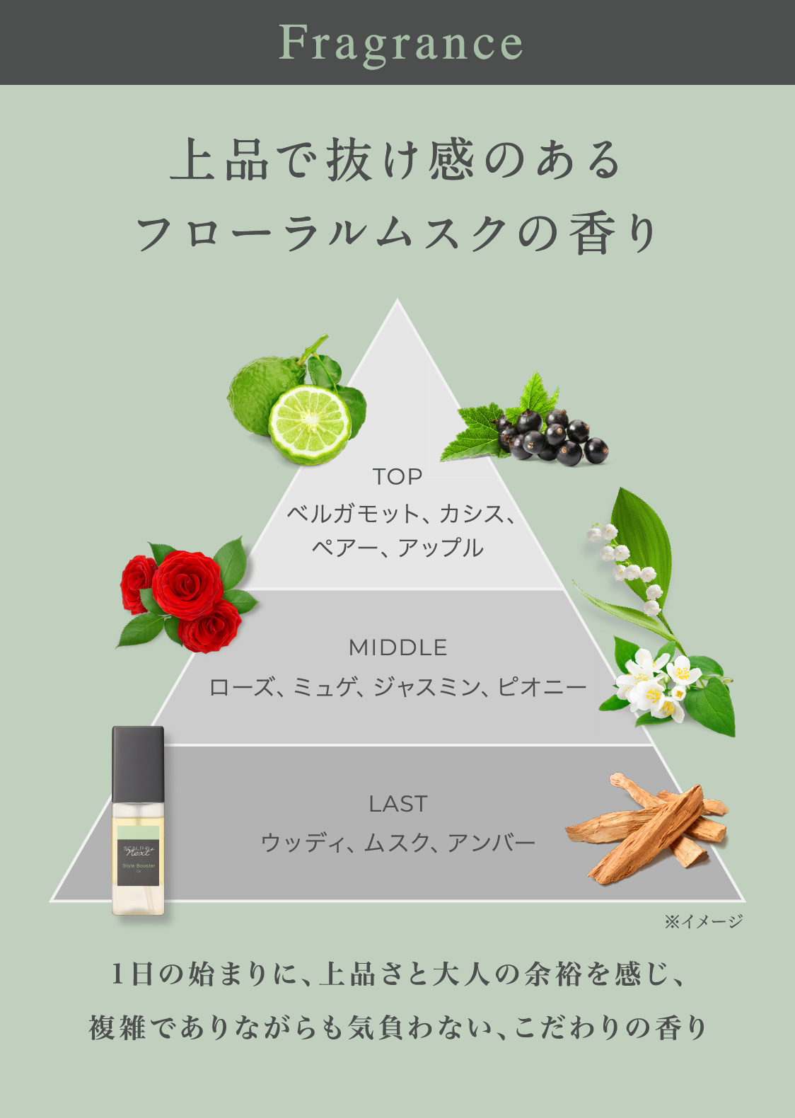 Fragrance 上品で抜け感のあるフローラルムスクの香り 1日の始まりに、上品さと大人の余裕を感じ、複雑でありながらも気負わない、こだわりの香り