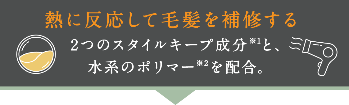 熱に反応して毛髪を補修する 2つのスタイルキープ成分※1と、水系のポリマー※2を配合。