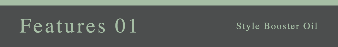 Features 01 Style Booster Oil