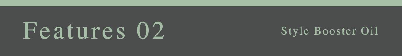 Features 02 Style Booster Oil