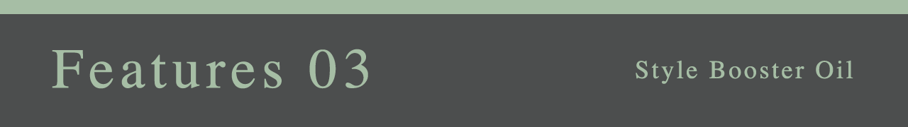 Features 03 Style Booster Oil