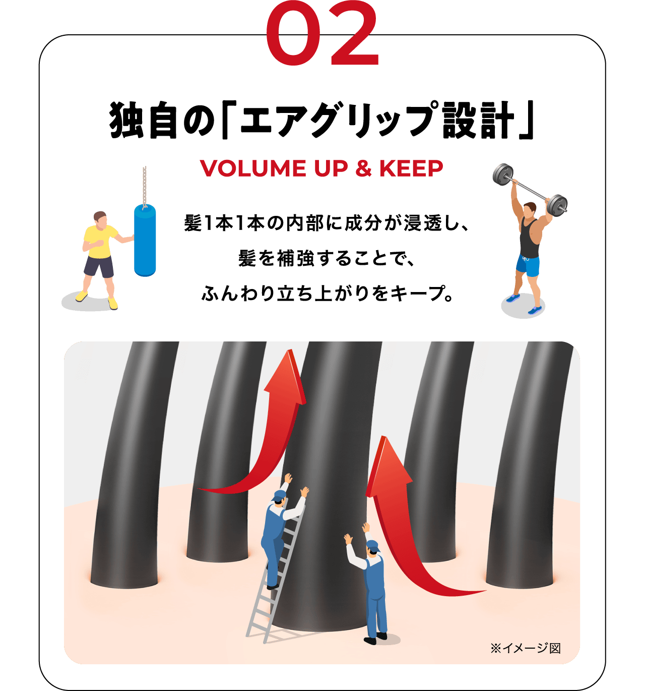 独自の「エアグリップ設計」髪1本1本の内部に成分が浸透し、髪を補強することで、ふんわり立ち上がりをキープ。