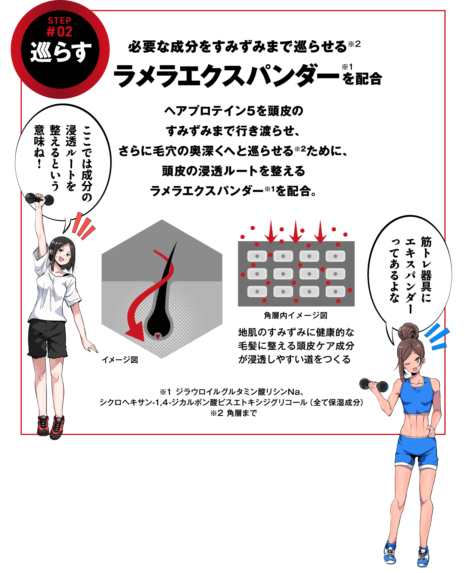 STEP#2 巡らす 必要な成分をすみずみまで巡らせるラメラエクスパンダーを配合 ヘアプロテイン5を頭皮のすみずみまで行き渡らせ、さらに毛穴の奥深くへと巡らせる※2ために、頭皮の浸透ルートを整えるラメラエクスパンダー※1を配合。