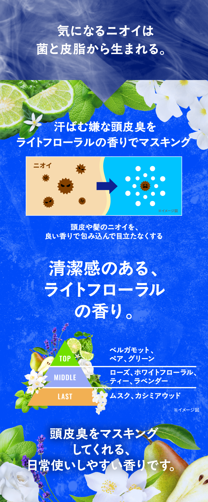 気になるニオイは菌と皮脂から生まれる。頭皮臭をマスキングしてくれる、日常使いしやすい香りです。ベルガモット、ペア、グリーンローズ、ホワイトフローラル、ティー、ラベンダームスク、カシミアウッド清潔感のある、ライトフローラルの香り。汗ばむ嫌な頭皮臭をライトフローラルの香りでマスキング頭皮や髪のニオイを、良い香りで包み込んで目立たなくする