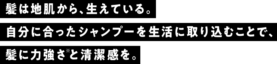 髪は地肌から、生えている。自分に合ったシャンプーを生活に取り込むことで、髪に力強さと清潔感を。