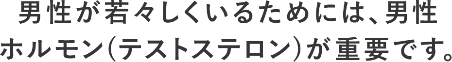 男性が若々しくいるためには、男性ホルモン（テストステロン）が重要です。