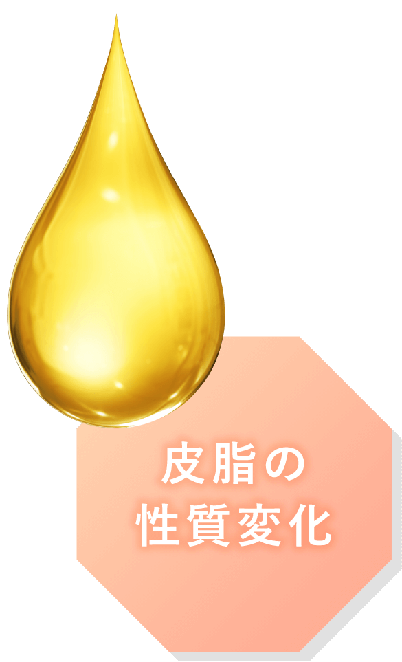 皮脂の性質変化