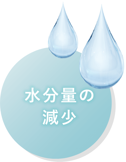 水分量の減少