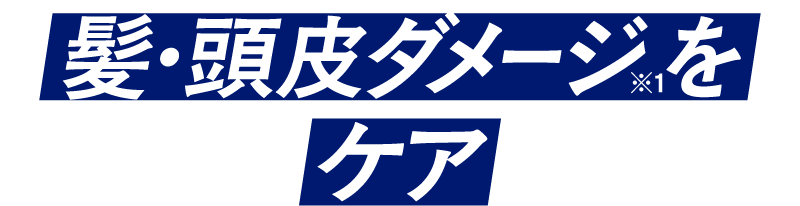髪・頭皮ダメージケア